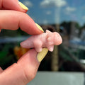 Ravenstone Crystals Little Pink Opal Axolotl