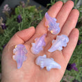 Ravenstone Crystals Little Pink Opalite Axolotl