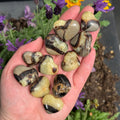 Ravenstone Crystals Little Septarian Heart