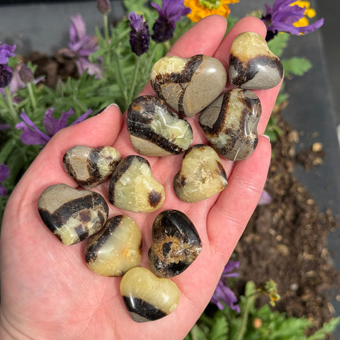 Ravenstone Crystals Little Septarian Heart