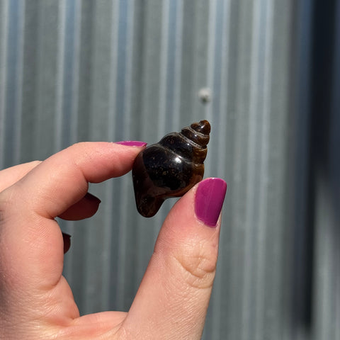 Ravenstone Crystals Little Tiger's Eye Shell