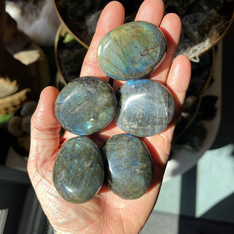 Ravenstone Crystals Medium Labradorite Palm Stone