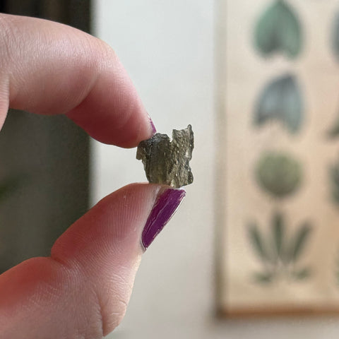 Ravenstone Crystals Moldavite "Alessandra"