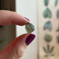 Ravenstone Crystals Moldavite "April"