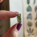 Ravenstone Crystals Moldavite "Brynn"