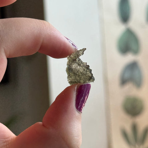 Ravenstone Crystals Moldavite "Cassie"