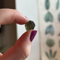 Ravenstone Crystals Moldavite "Delaney"