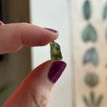 Ravenstone Crystals Moldavite "Evangeline"