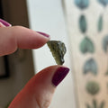 Ravenstone Crystals Moldavite "Fatima"