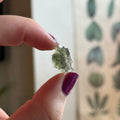 Ravenstone Crystals Moldavite "Giselle"