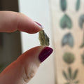 Ravenstone Crystals Moldavite "Hector"