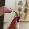 Ravenstone Crystals Moldavite "Keegan"