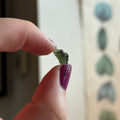 Ravenstone Crystals Moldavite "Leon"