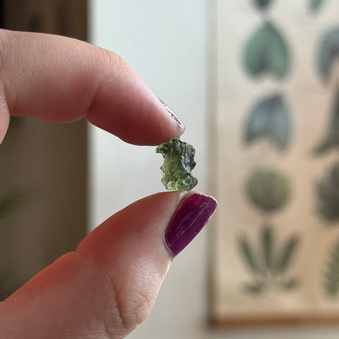 Ravenstone Crystals Moldavite "Lexi"