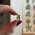 Ravenstone Crystals Moldavite "Lucille"