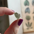 Ravenstone Crystals Moldavite "McKenna"