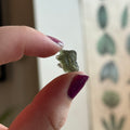 Ravenstone Crystals Moldavite "Mila"