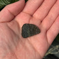 Ravenstone Crystals Moldavite (Museum-Grade) "Andromeda"