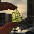Ravenstone Crystals Moldavite (Museum-Grade) "Andromeda"
