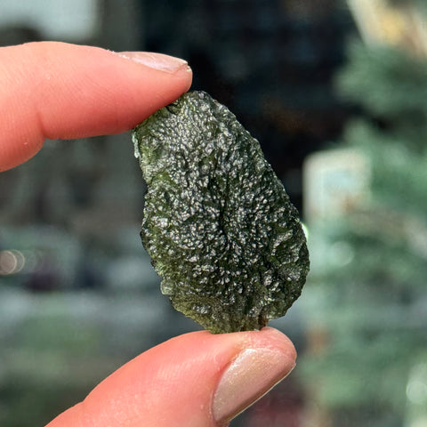 Ravenstone Crystals Moldavite (Museum-Grade) "Thalia"