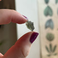 Ravenstone Crystals Moldavite "Noelle"