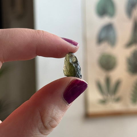 Ravenstone Crystals Moldavite "Nyla"