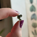 Ravenstone Crystals Moldavite "Olive"