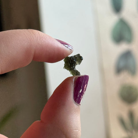 Ravenstone Crystals Moldavite "Olive"