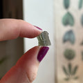 Ravenstone Crystals Moldavite "Parker"