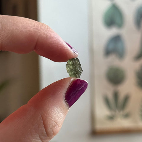 Ravenstone Crystals Moldavite "Phoebe"