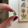 Ravenstone Crystals Moldavite "Remi"