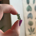 Ravenstone Crystals Moldavite "Spencer"