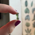 Ravenstone Crystals Moldavite "Tanner"