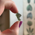 Ravenstone Crystals Moldavite "Zander"