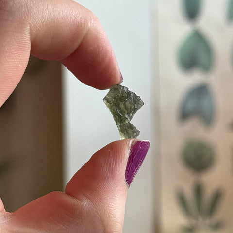 Ravenstone Crystals Moldavite "Zander"