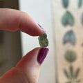 Ravenstone Crystals Moldavite "Zion"
