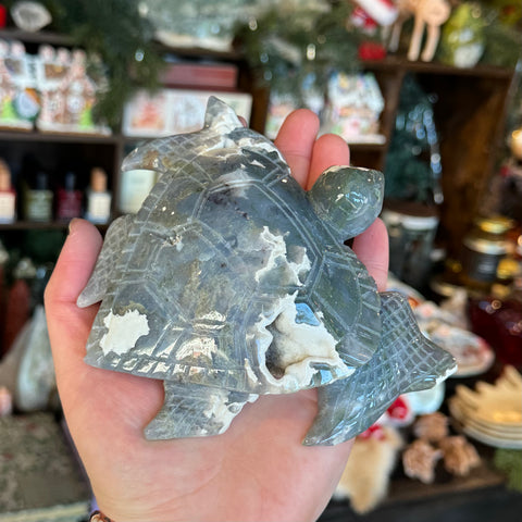 Ravenstone Crystals Moss Agate Sea Turtle "Franklin"