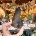 Ravenstone Crystals Namibian Smoky Quartz "Bella"