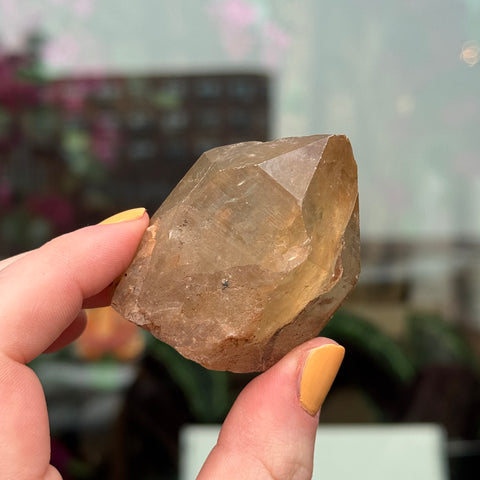 Ravenstone Crystals Natural Citrine "April"