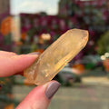 Ravenstone Crystals Natural Citrine "Brunelle"