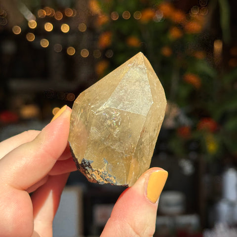 Ravenstone Crystals Natural Citrine "Cooper"