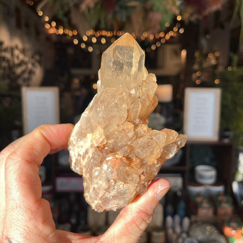 Ravenstone Crystals Natural Citrine "Fonzie"
