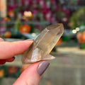 Ravenstone Crystals Natural Citrine "Françoise"