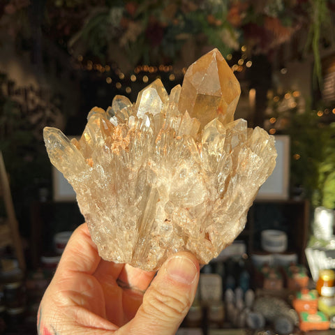 Ravenstone Crystals Natural Citrine "Joanie"