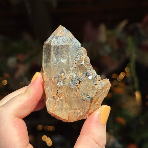 Ravenstone Crystals Natural Citrine "Maximus"