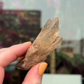Ravenstone Crystals Natural Citrine "May"