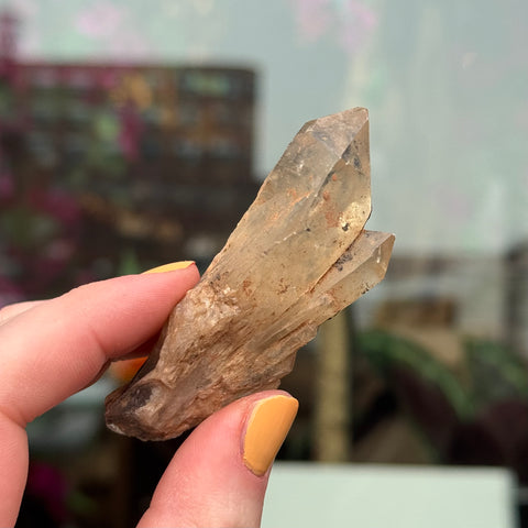 Ravenstone Crystals Natural Citrine "May"