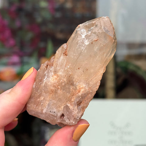 Ravenstone Crystals Natural Citrine "Muriel"