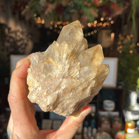 Ravenstone Crystals Natural Citrine "Richie"