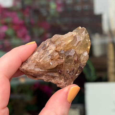 Ravenstone Crystals Natural Citrine "Theros"